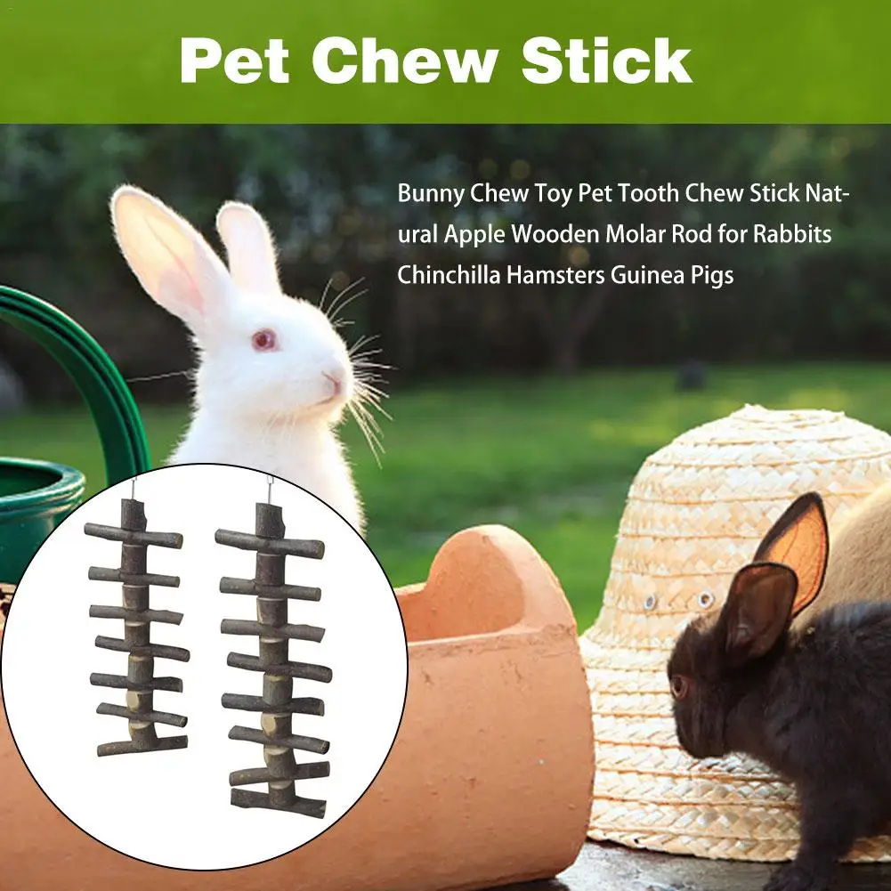 Bunny Chew Toy - Image 5
