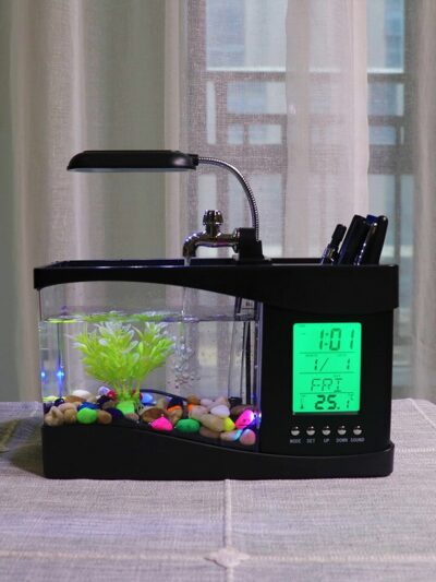 Mini Aquarium