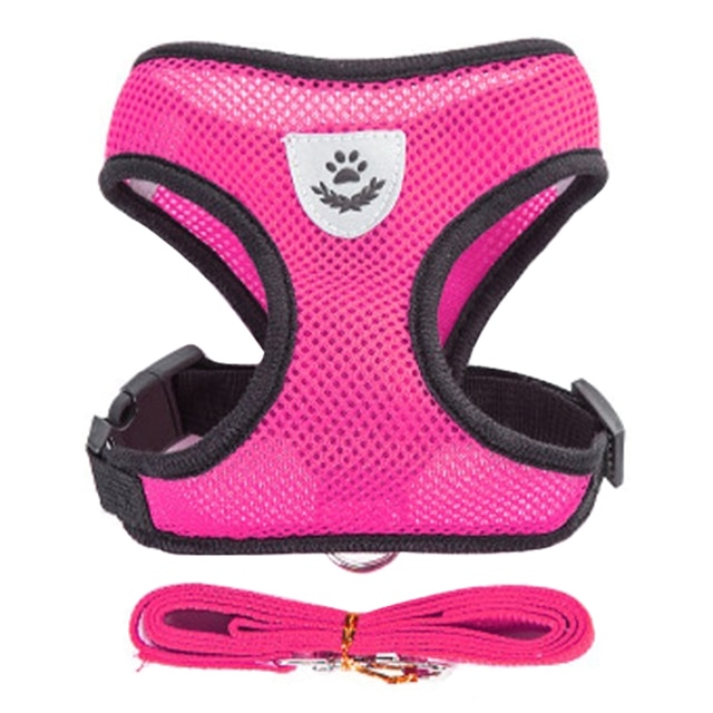 Dog Harness With Walking Leash - Image 11