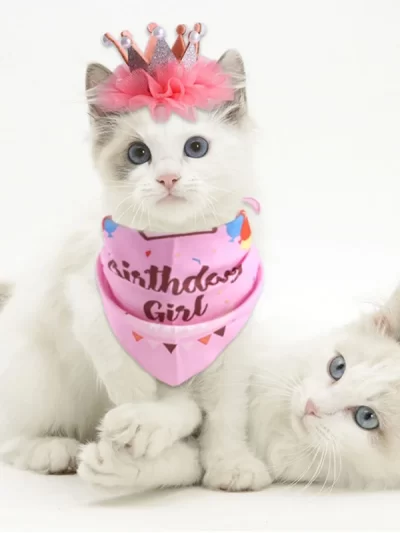 Dress UP Dog and Cat Bandanas