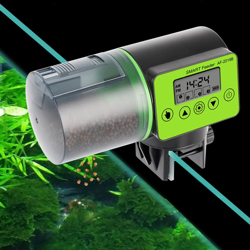 Smart Automatic Fish Feeder
