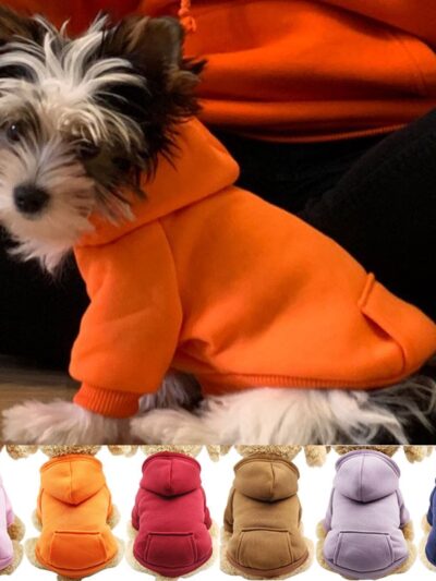 Everyday Dog Hoodie