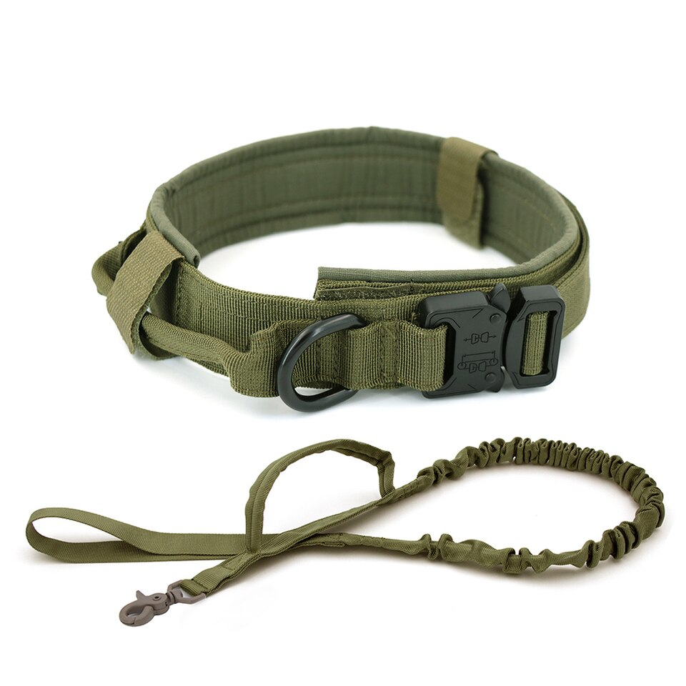 Tactical Dog Training Collar and Leash Set for All Dogs - Image 4
