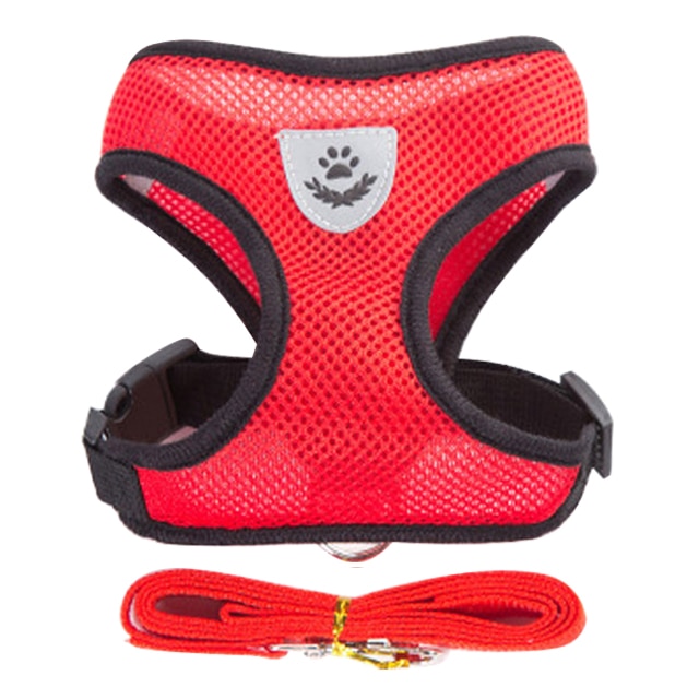 Dog Harness With Walking Leash