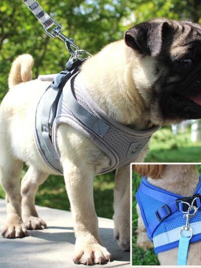 Reflective Puppy Harness