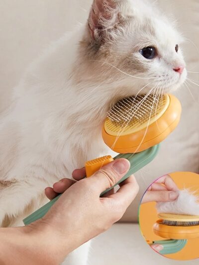 Pumpkin Pet Brush