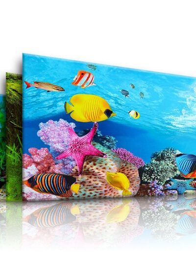 3D Aquarium Landscape