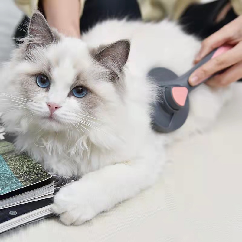 Cat Hair Remover Brush - Image 6