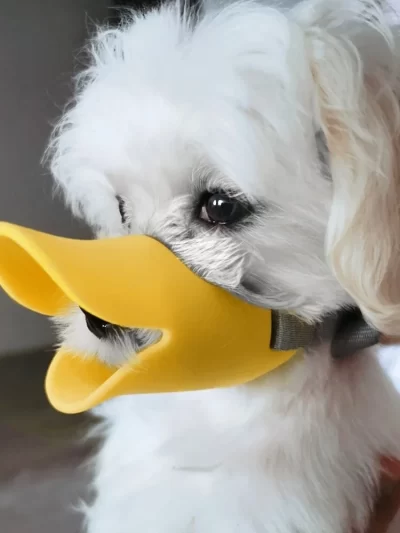 Dog Muzzle Silicone Duck Muzzle Mask for Pet Dogs Anti Bite Stop Barking Small Large Dog Mouth Muzzles Pet Dog Accessories