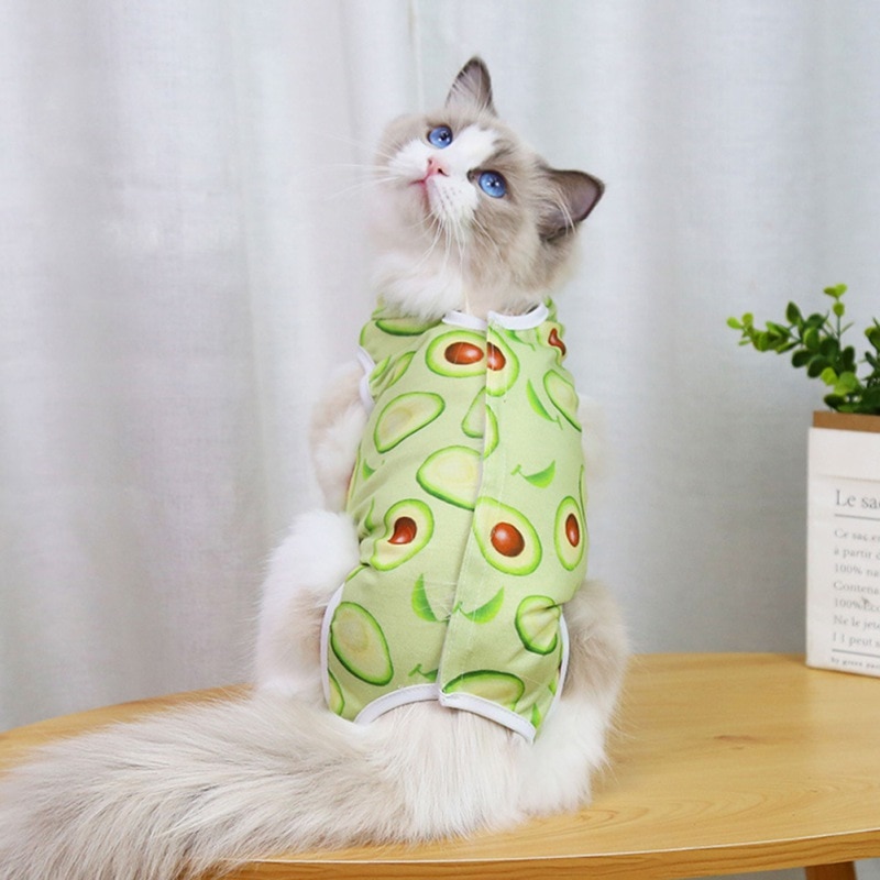 Fruit Print Cat Suit - Image 4