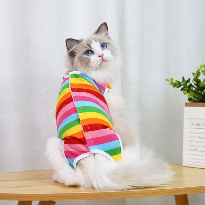 Fruit Print Cat Suit - Image 3