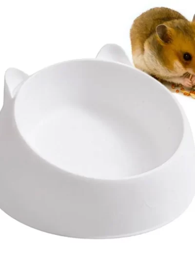Small Pet Food Feeder