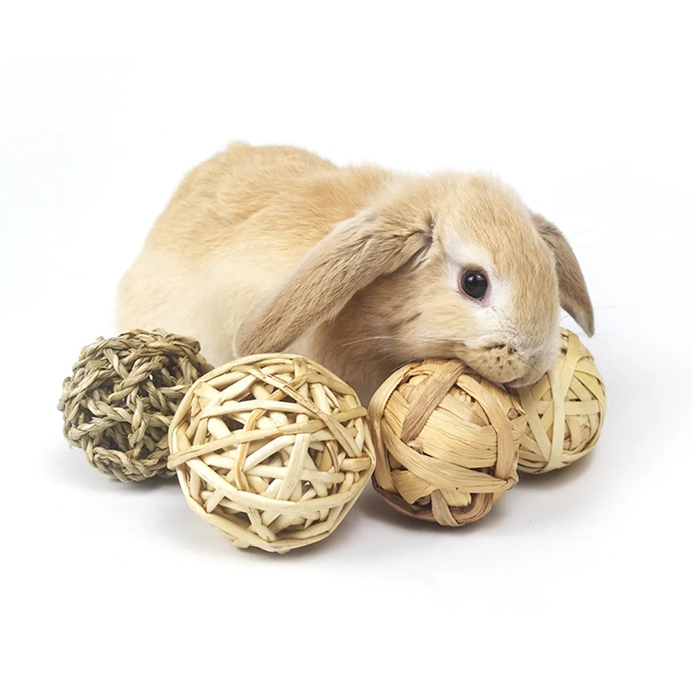 Pet Rabbit Hamster Chewing Ball - Image 4