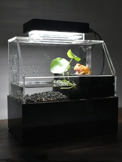 Mini Desktop Fish Tank