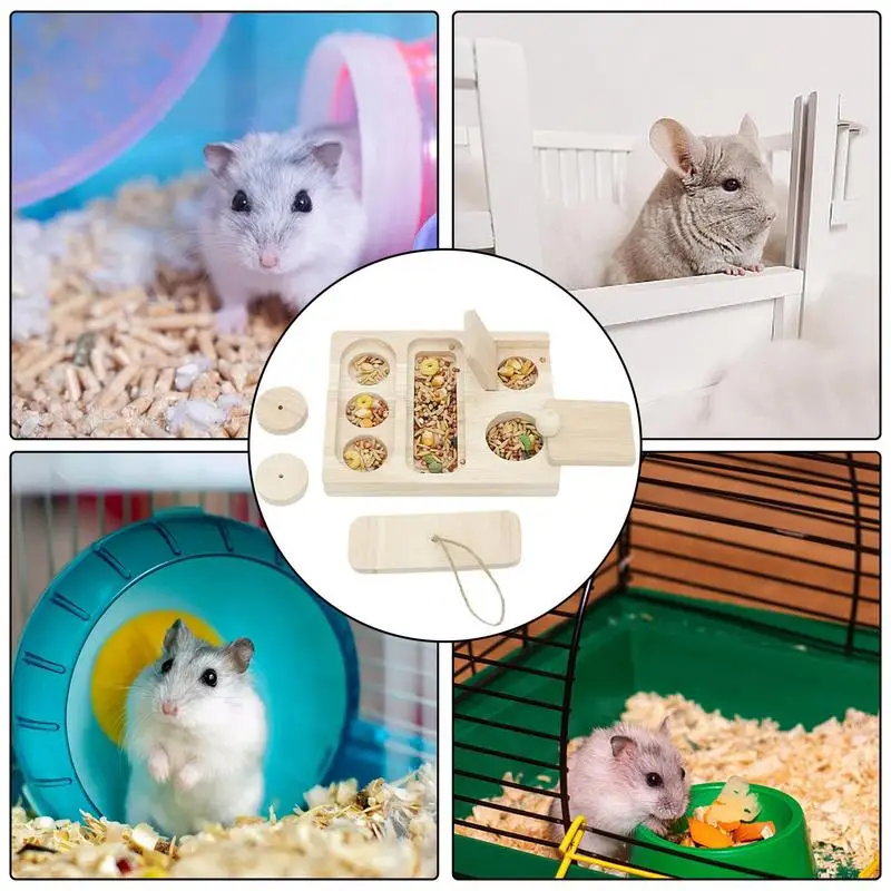 Multi-Grid Hamster Feeding Bowl - Image 5