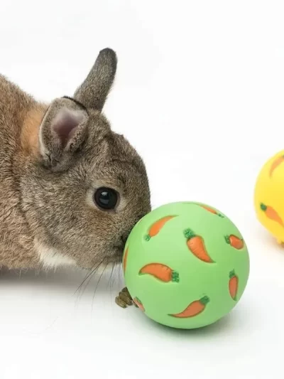 1 Pc Rabbit Treat Ball