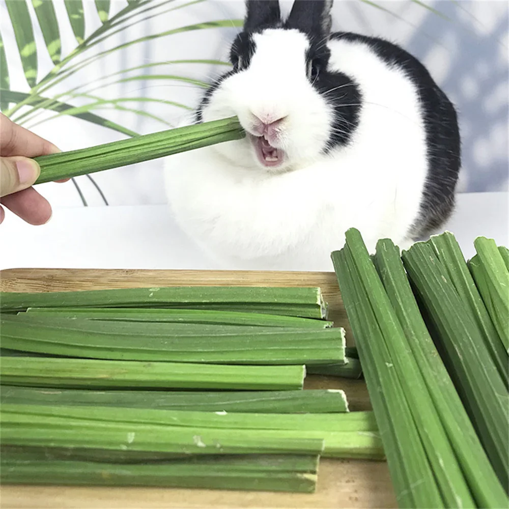 20g Natural Dried Papaya Stem Toy - Image 5