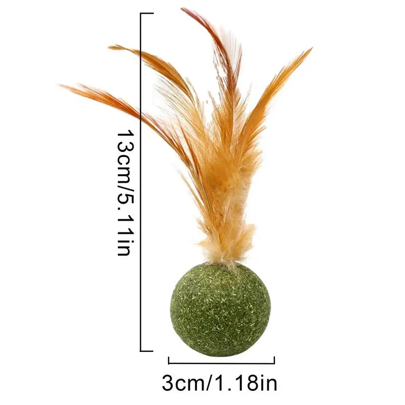 Catnip Ball Feather Cat Tooth Cleaning Cat Toy Promote Digestion Pet Kitten Interactive Chew Hair Removing Ball Pet Accessories - Image 6