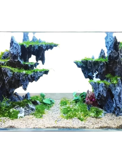 Aquarium Decoration Fish Tank Decorated With Rocks. Aquarium Decoration Model Aquatic Pet Supplies Products